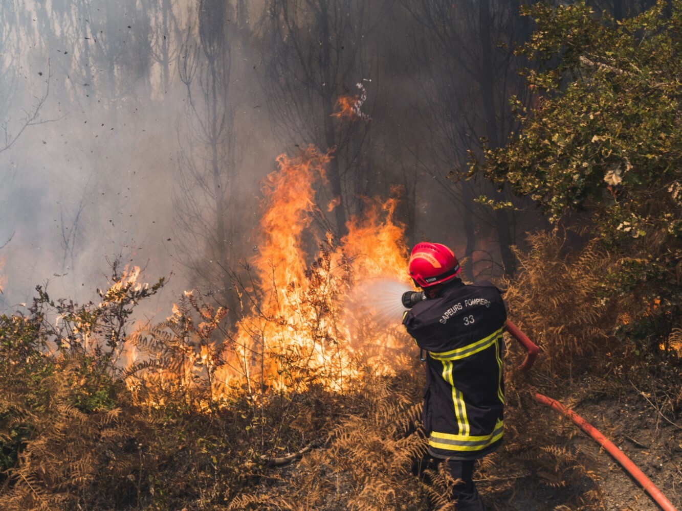Canicule : vérifiez l'accès aux massifs forestiers