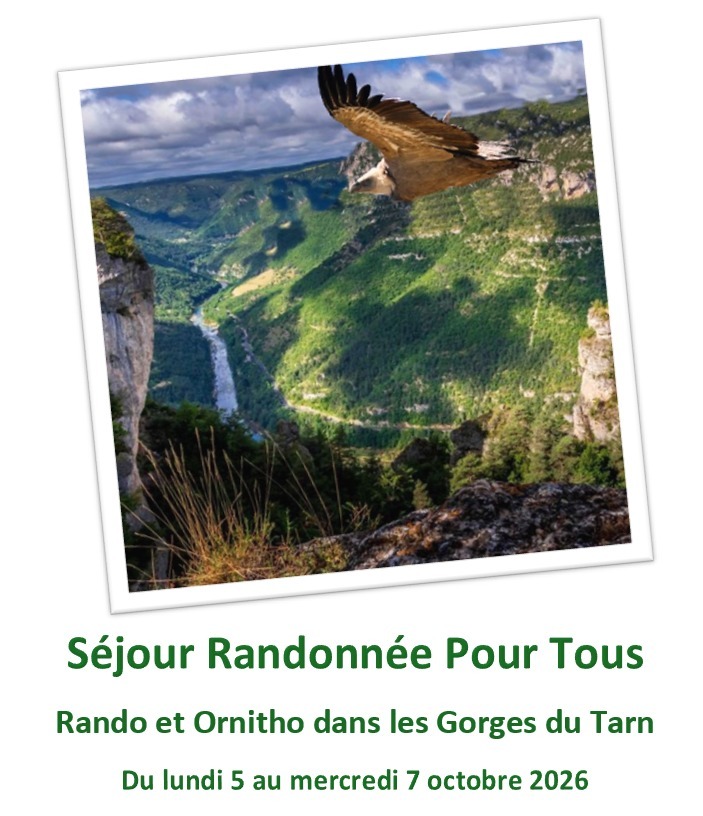 Séjour ornithologique
