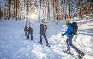 Rando sportive en raquettes à neige