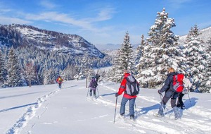 Séjour raquettes dans les Alpes provençales