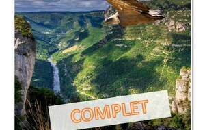 Rando et ornitho dans les Gorges du Tarn