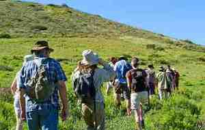 RPT : Serviers - Labeaume