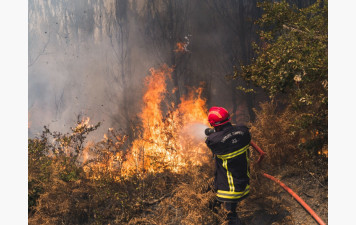 Canicule : vérifiez l'accès aux massifs forestiers