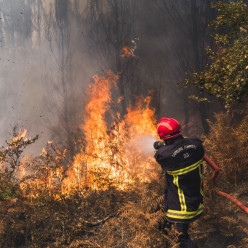 Canicule : vérifiez l'accès aux massifs forestiers